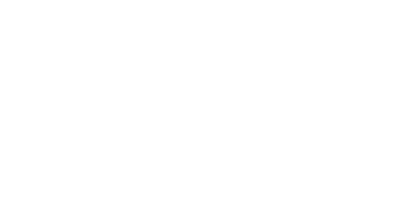 Radius Security Consulting